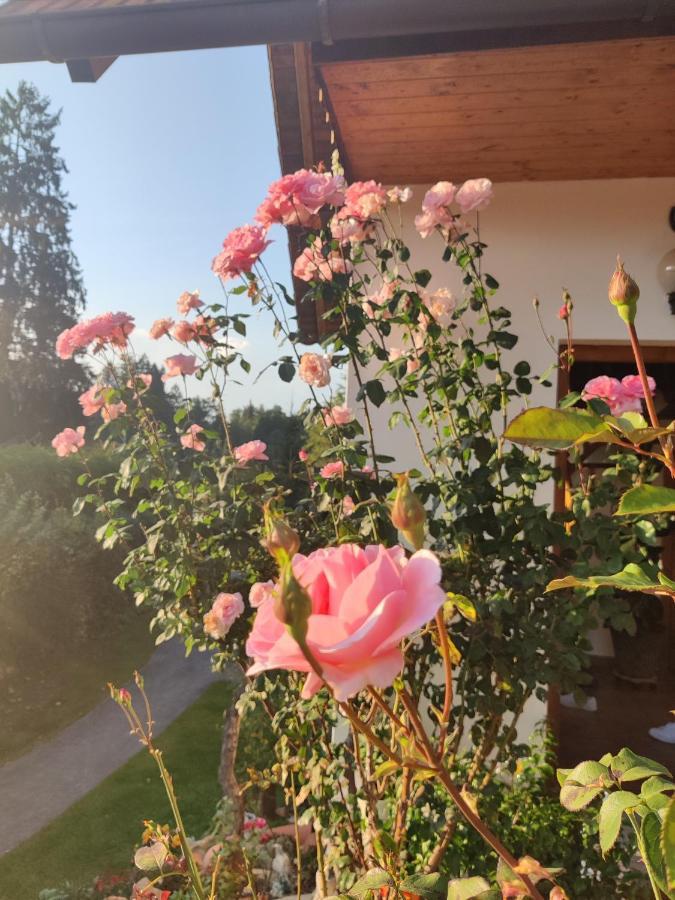 Pension Treissmann Pichling bei Stainz Bagian luar foto